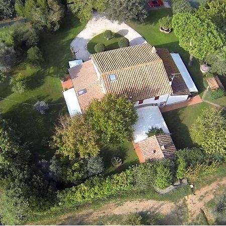Relais Felciaino B&B Bolgheri Habitación foto