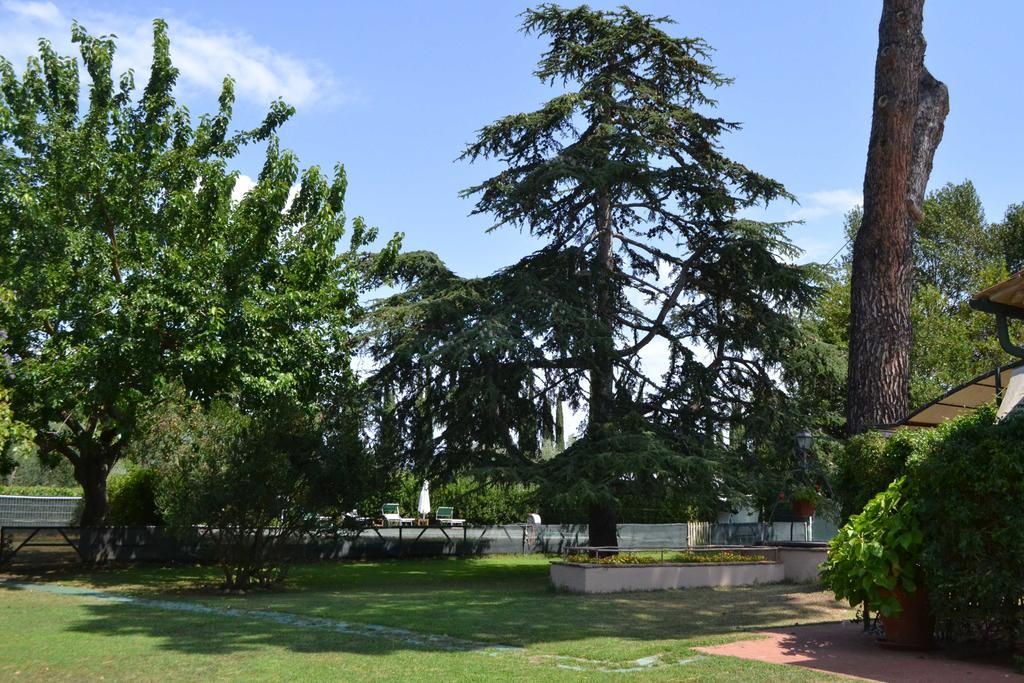 Relais Felciaino B&B Bolgheri Exterior foto